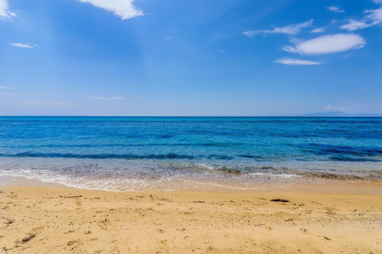 Calma Luxury Apartments #3 Sozopoli In Halkidiki 外观 照片